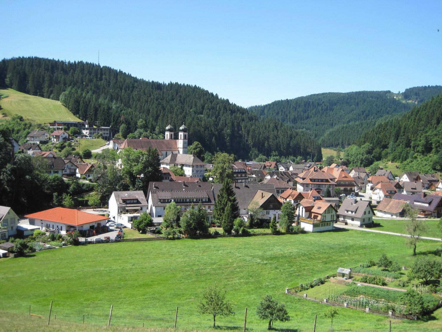 Hotel Restaurant Albans Sonne Bad Rippoldsau-Schapbach Екстер'єр фото