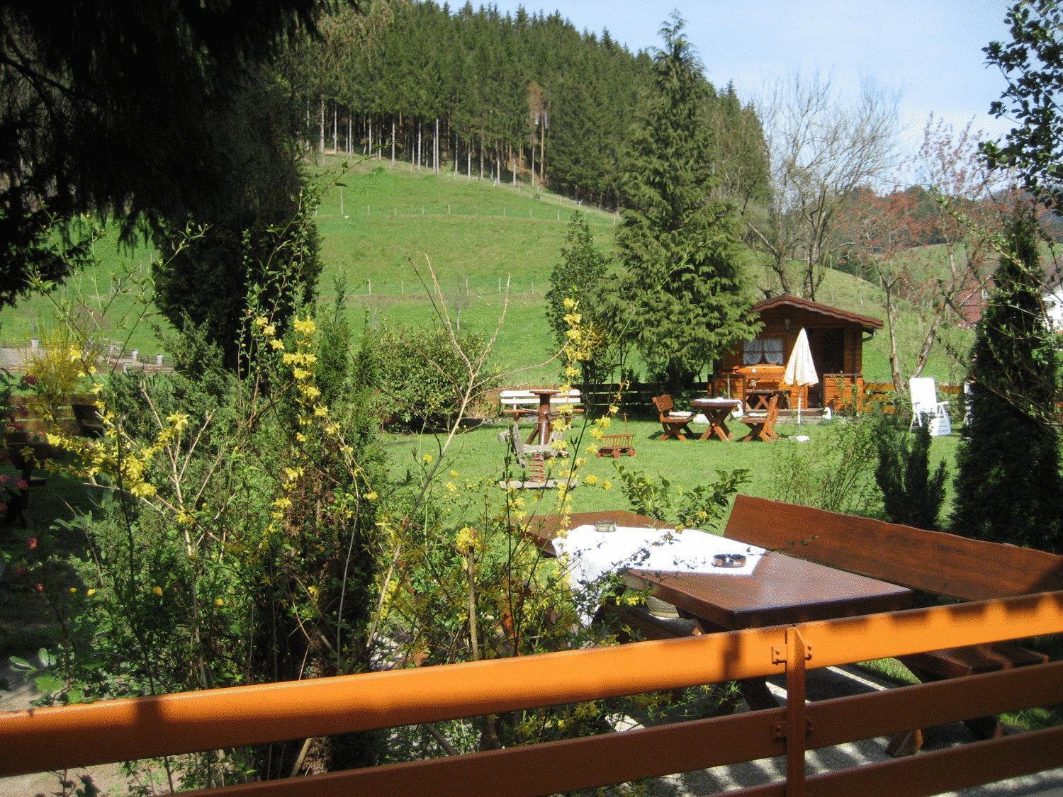 Hotel Restaurant Albans Sonne Bad Rippoldsau-Schapbach Екстер'єр фото